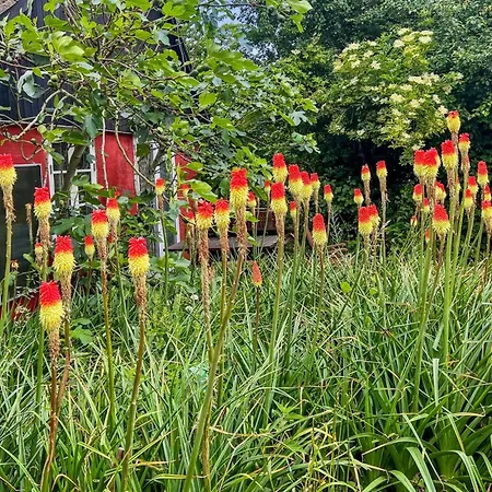 Сasa de vacaciones Virpi - 8km From The Sea By Interhome Neksø